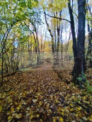 Pripravujeme dražbu pozemkov v Trenčianskych Tepliciach!