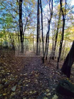 Pripravujeme dražbu pozemkov v Trenčianskych Tepliciach!
