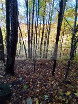 Pripravujeme dražbu pozemkov v Trenčianskych Tepliciach!