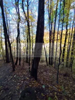 Pripravujeme dražbu pozemkov v Trenčianskych Tepliciach!