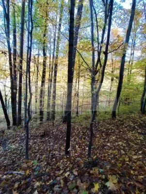 Pripravujeme dražbu pozemkov v Trenčianskych Tepliciach!