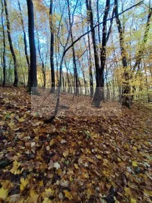 Pripravujeme dražbu pozemkov v Trenčianskych Tepliciach!