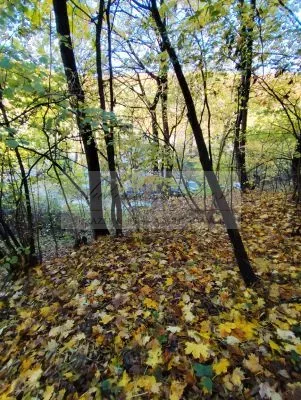 Pripravujeme dražbu pozemkov v Trenčianskych Tepliciach!