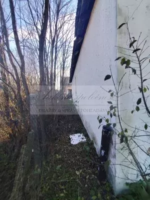 Dražba rodinného domu v Borskom Mikuláši - k.ú. Borský Peter