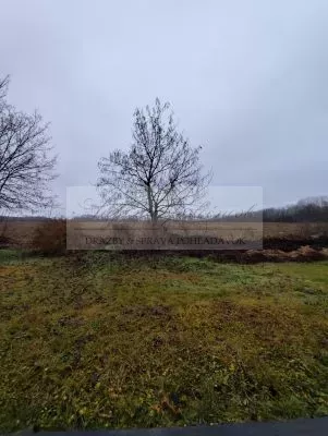 Dražba rodinného domu v Ivanke pri Dunaji!