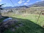 Predmet dražby
